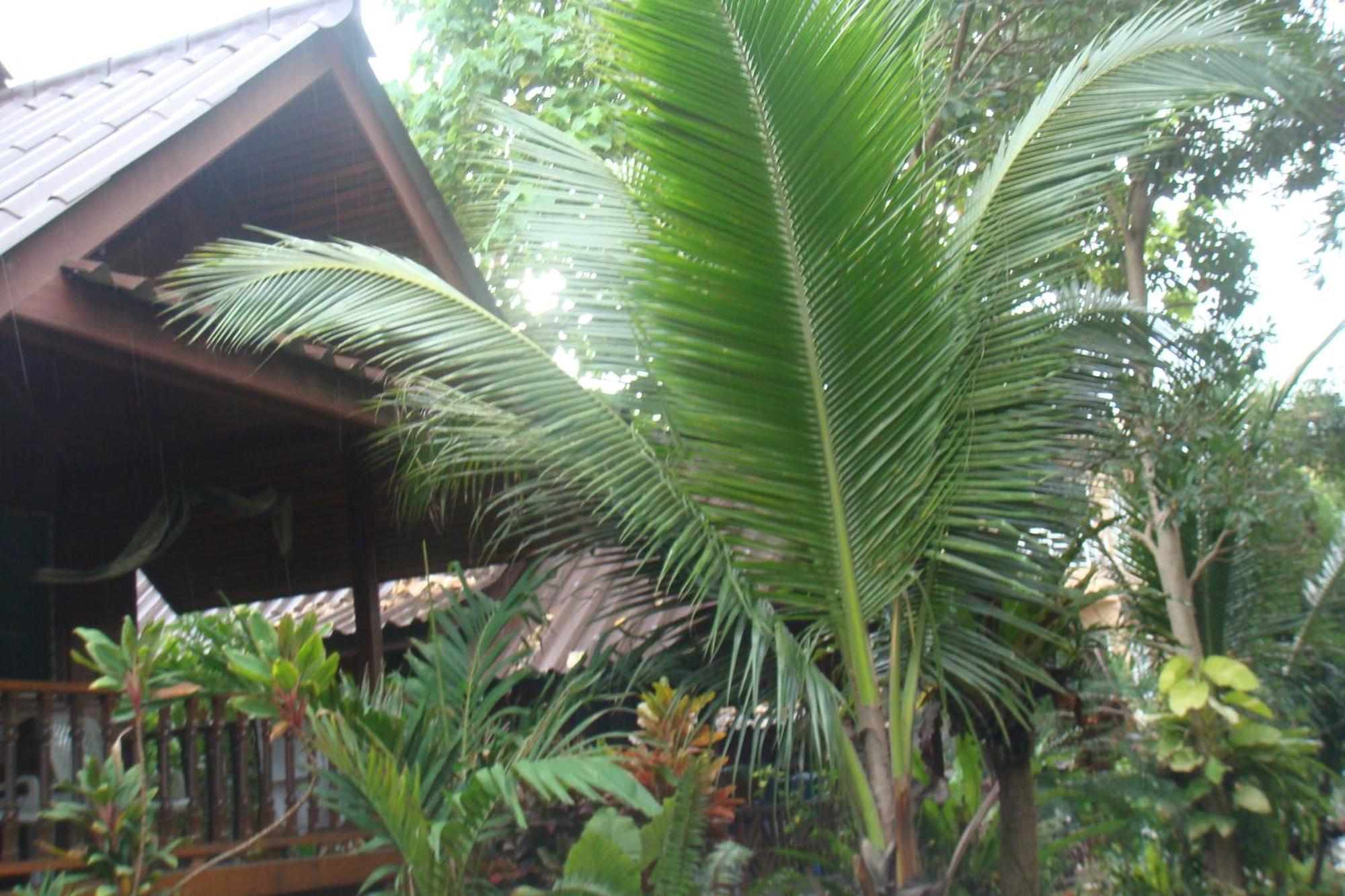 Silver Sands Resort - Ko Tao Exterior foto